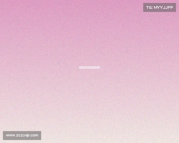 赛事运作的各个阶段的主要工作